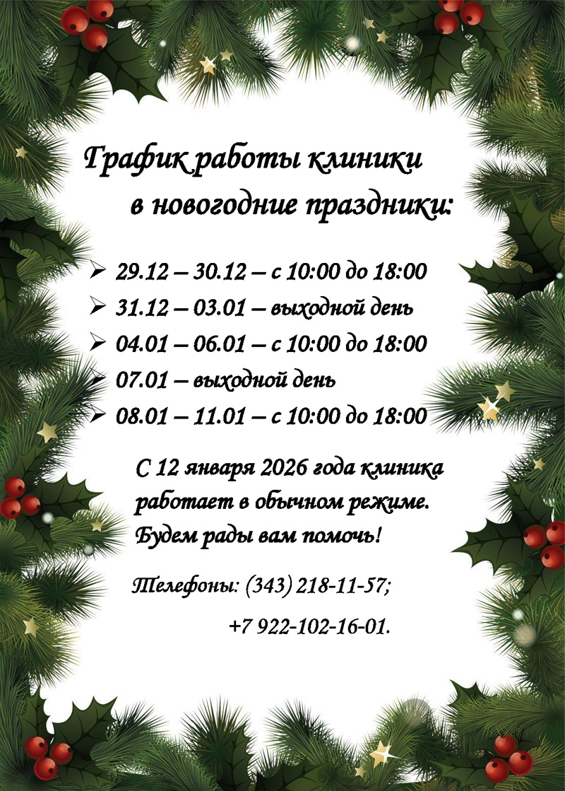 ������ ������ ������� � ���������� ���������: 29.12 � 30.12 � � 10:00 �� 18:00, 31.12 � 03.01 � �������� ����, 04.01 � 06.01 � � 10:00 �� 18:00, 07.01 � �������� ����, 08.01 � 11.01 � � 10:00 �� 18:00. � 12 ������ 2026 ���� ������� �������� � ������� ������. ����� ���� ��� ������! �������: (343) 218-11-57; +7 922 102-16-01.